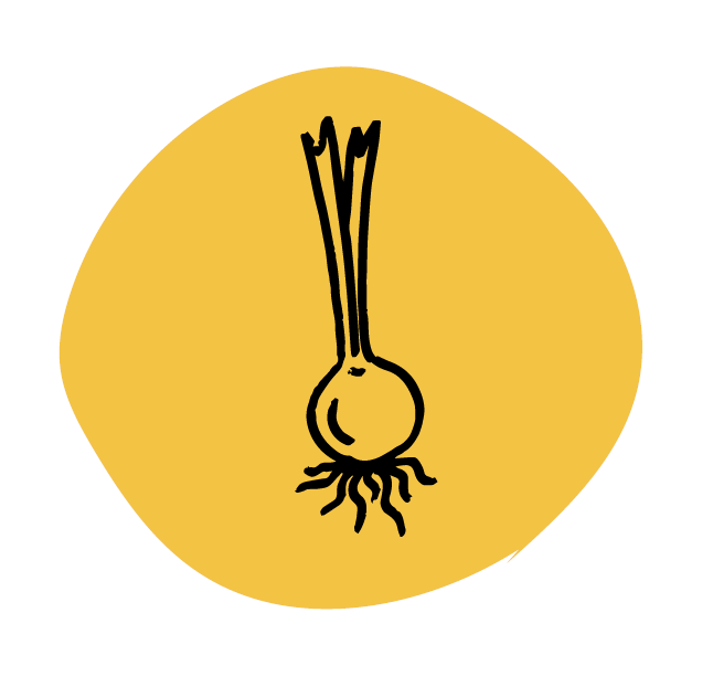 il·lustració socarrel